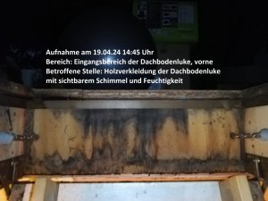 IMG_20240419_144518.jpg