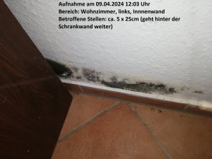 IMG_20240409_120358.jpg