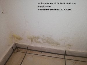 IMG_20240416_111550.jpg