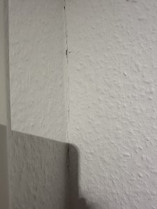 IMG_8838.jpeg