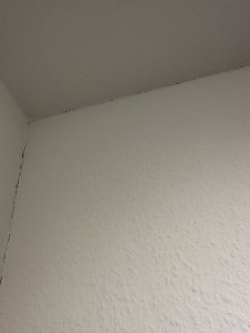 IMG_8841.jpeg