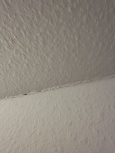 IMG_8846.jpeg