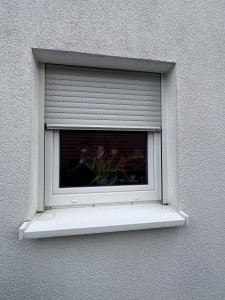 IMG_3241.jpeg
