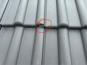 IMG_4249.jpeg