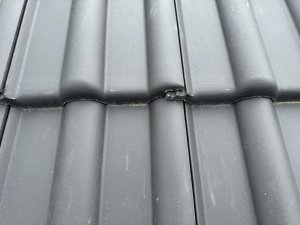 IMG_4247.jpeg