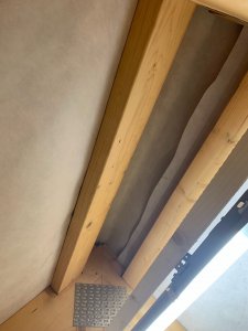 IMG_7413.jpeg