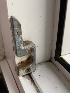 IMG_9917.jpeg