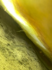 IMG_4942.jpg