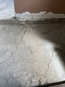 IMG_3064.JPEG