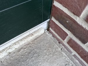 IMG_8581.JPEG