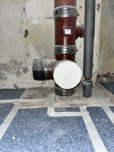 IMG_1554.jpeg