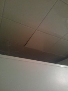 IMG_20240518_180359.jpg