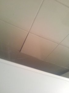 IMG_20240518_180346.jpg