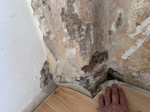 IMG_0712.jpeg