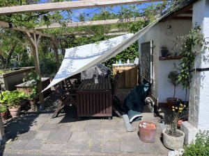 IMG_0709.jpeg