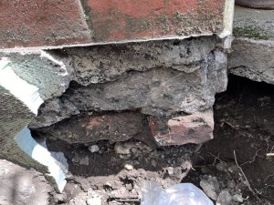 IMG_0705.jpeg