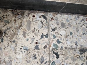 PXL_20240517_123054775 (Mittel).jpg