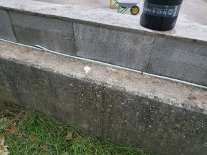 20231124_161953.jpg