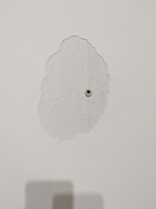 PXL_20240521_202037139.jpg