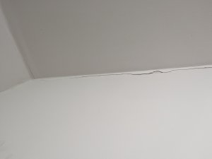 PXL_20240521_202053459.jpg