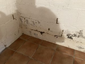 IMG_6526.JPG