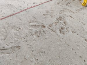 IMG_20240521_162646.jpg
