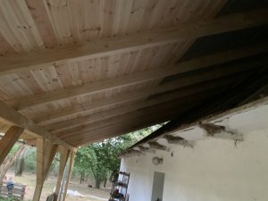 IMG_2307.jpeg