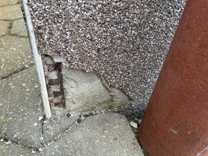 IMG_3080.jpeg