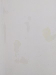 PXL_20240526_182045536.MP.jpg