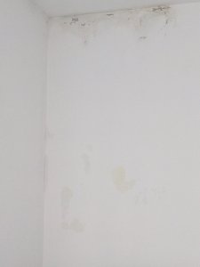 PXL_20240526_182038098.MP.jpg