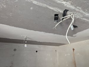 PXL_20240527_090744906.jpg