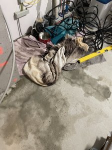 IMG_3785.jpeg