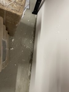 IMG_3788.jpeg