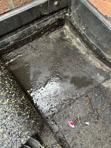 IMG_1372.jpeg