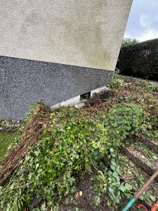 IMG_0326.jpeg