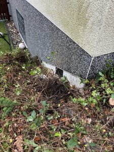 IMG_0325.jpeg