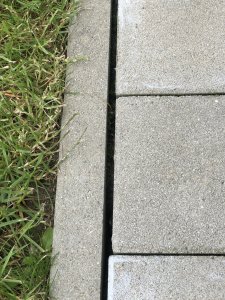 IMG_3388.jpeg