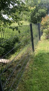 IMG_3386.jpeg