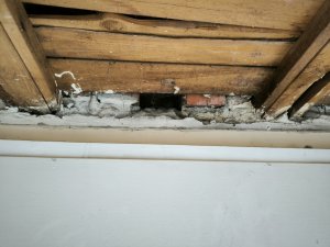 IMG_20240530_112348.jpg