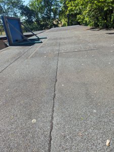 WhatsApp Image 2024-05-14 at 16.25.23 (3).jpeg