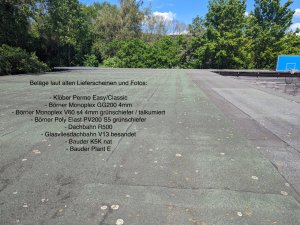 WhatsApp Image 2024-05-14 at 16.25.23.jpeg