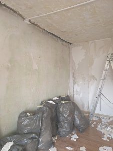 PXL_20240520_135226486.jpg