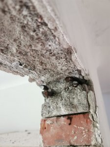 IMG_20240601_141749.jpg