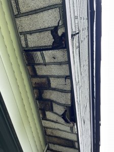 IMG_5010.jpeg