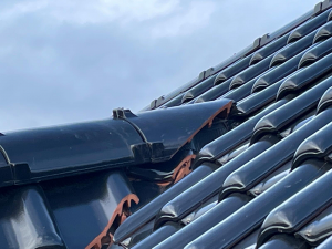 First Gaube Anschluss 2.png