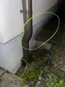 IMG_6601.jpeg