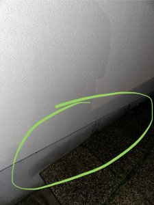 IMG_6600.jpeg