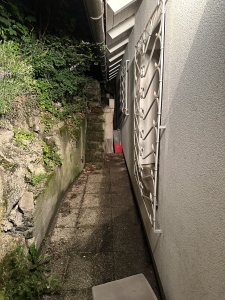 IMG_6614.jpeg