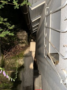 IMG_6617.jpeg