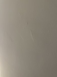 IMG_1015.jpeg